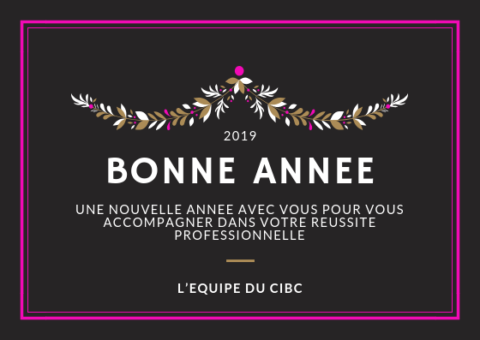 bonne année 2019