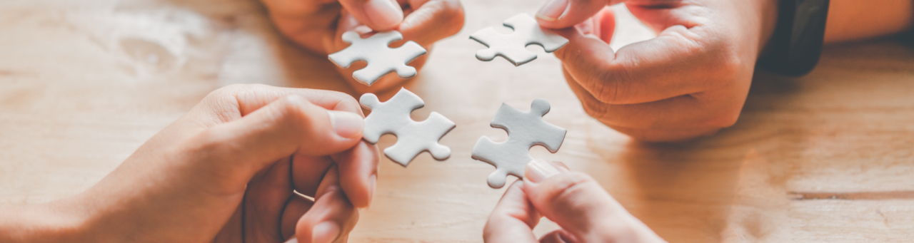 accompagnement professionnel puzzle